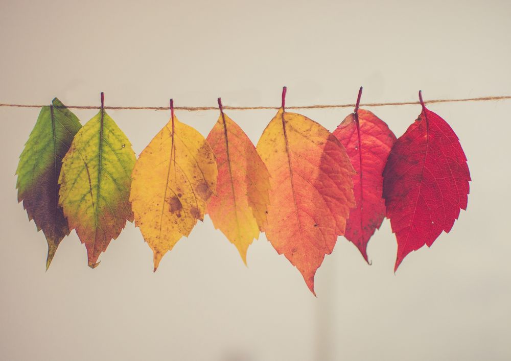 Temoignages2 lappeldelalumiere