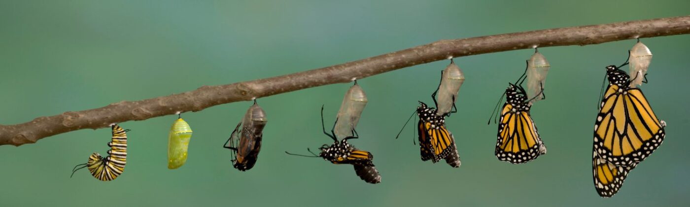 Blog lappeldelalumiere pourquoi changements prennent du temps