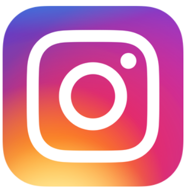 Icone instagram